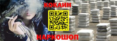 крисы Новодвинск