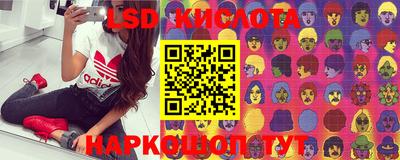 крисы Новодвинск