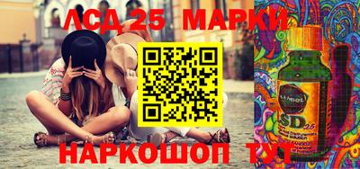 крисы Новодвинск