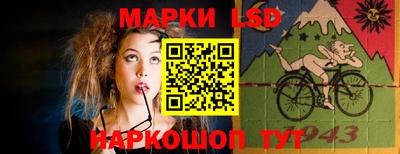 крисы Новодвинск
