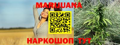 крисы Новодвинск