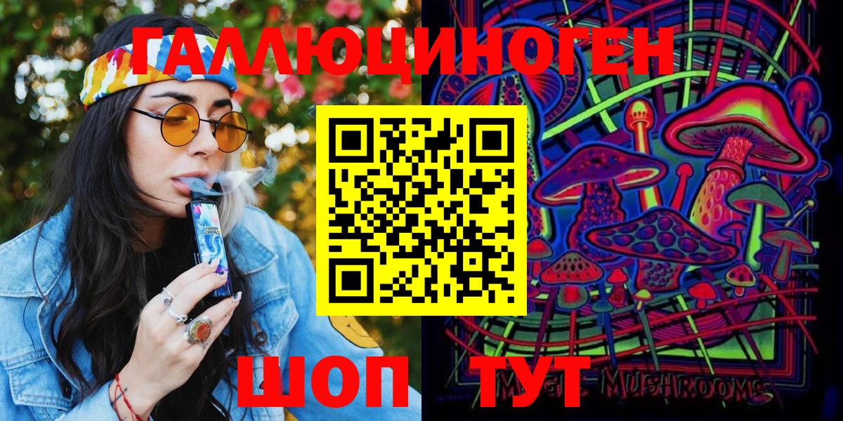 Азнакаево  Псилоцибиновые грибы Psilocybine cubensis  Вход с VPN 