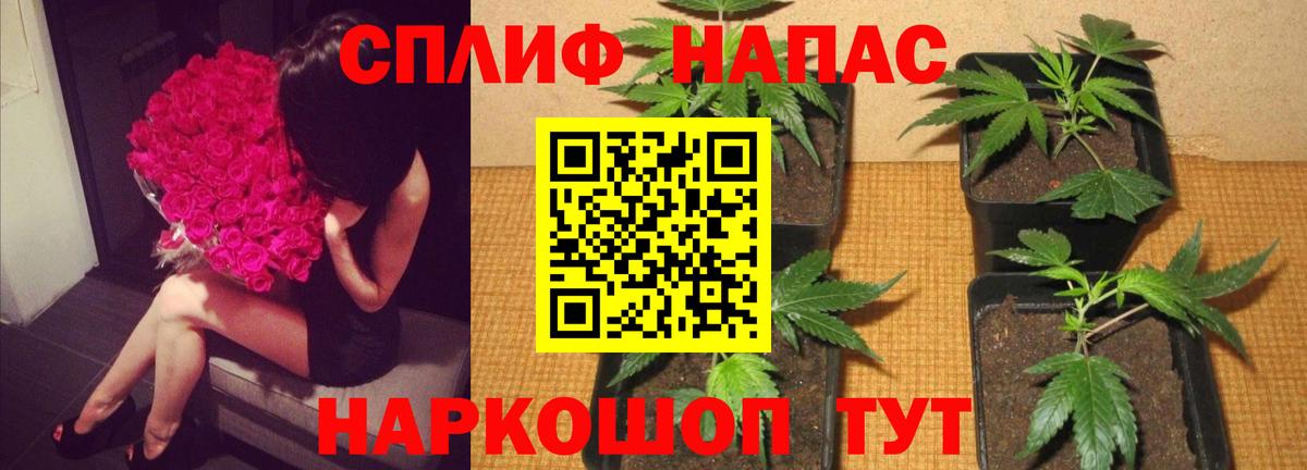 Бошки Шишки ГИДРОПОН  Шишки марихуана семена  Азнакаево  Вход с VPN  Каннабис MAZAR  Марихуана VHQ 